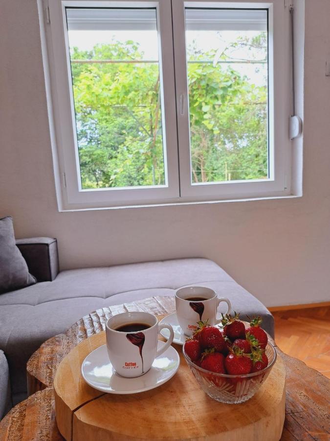 Guest House Green River Ljubuški Exteriér fotografie